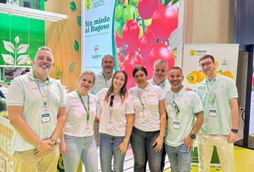 New tomato and red california pepper varieties: Infoagro 2025