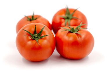 ToBRFV-resistant tomato varieties and short cucumbers for planting in spring and summer
