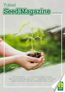 Yuksel Seed Magazine